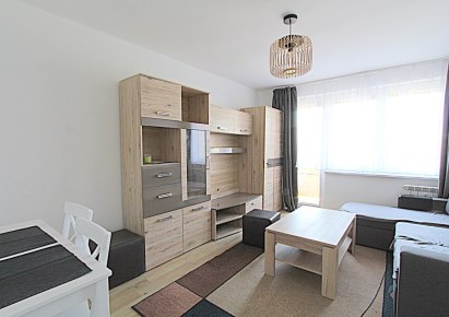 apartment for rent - Białystok, Mickiewicza